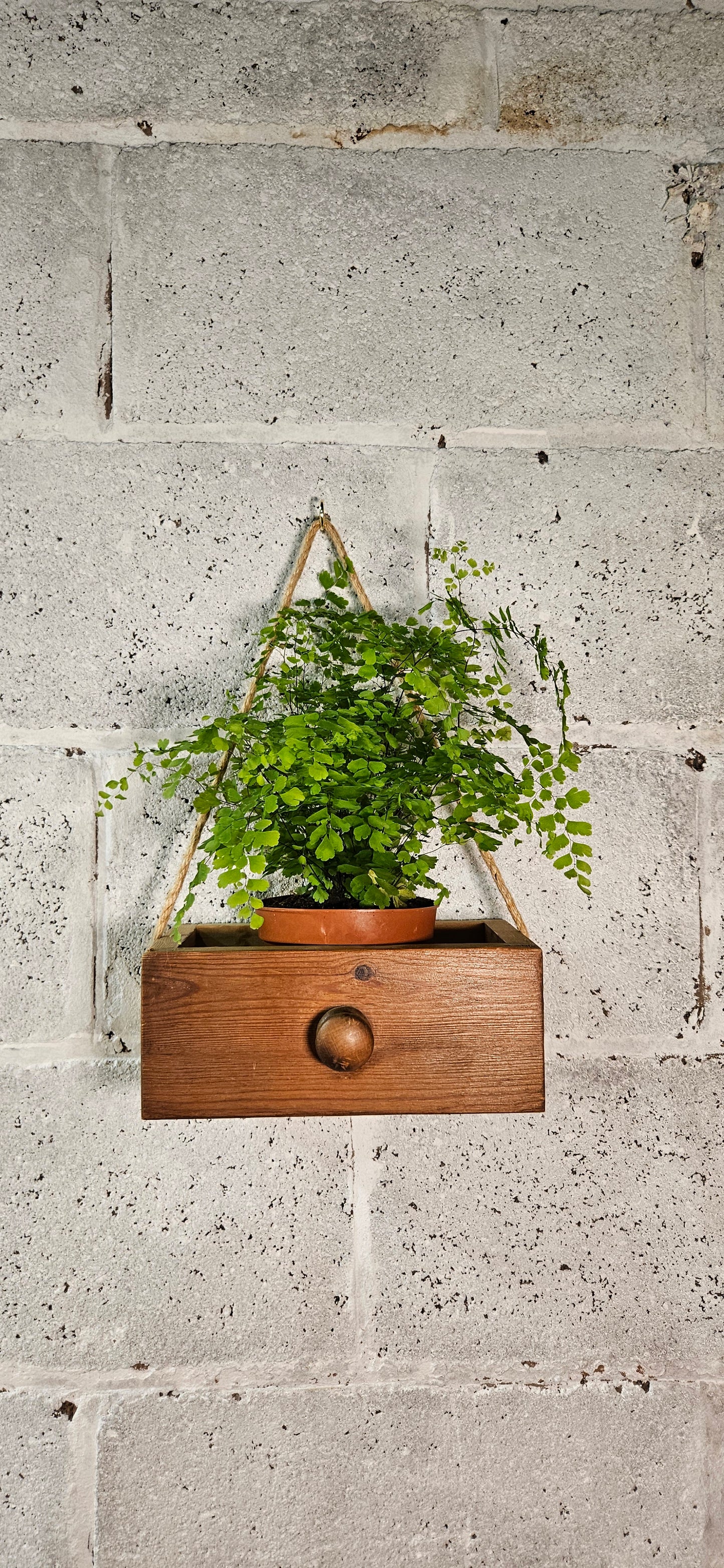 Pine Drawer Hangers